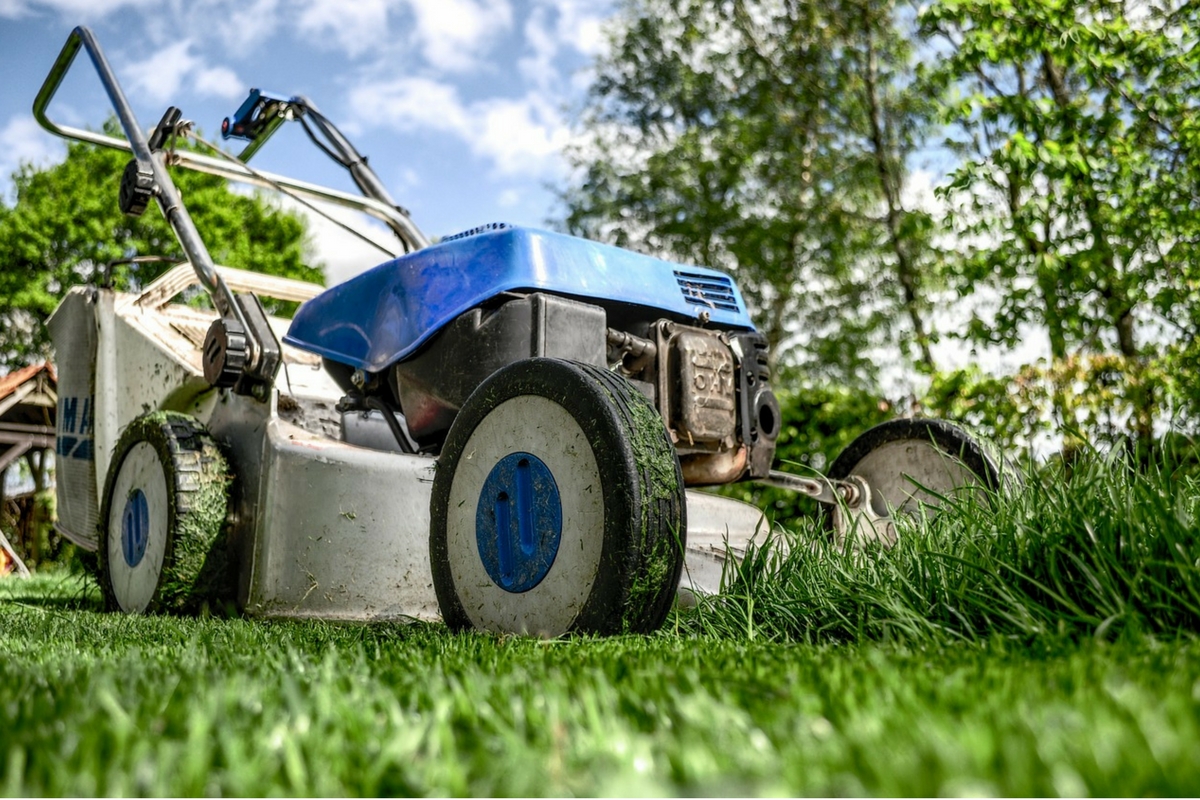 servicio de jardineria y paisajismo