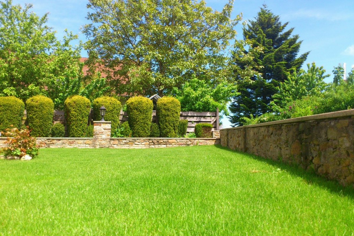 servicio de jardineria y paisajismo