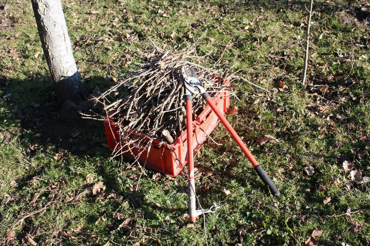 servicio de jardineria y paisajismo